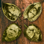 Freshly Pressed – Touch The Clouds “Be Patient” Touch The Clouds